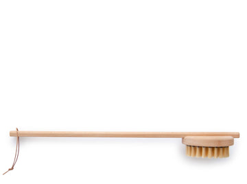 Beech Back Brush