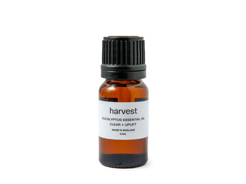 Eucalyptus Essential Oil