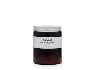 Eucalyptus Leaf Candle