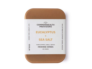 Eucalyptus and Sea Salt Incense Cones
