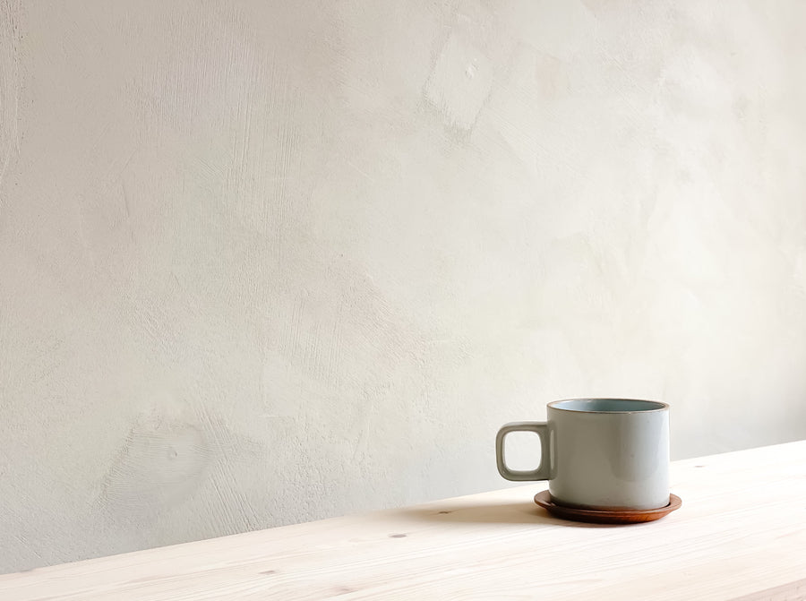 Hasami Porcelain Clear Grey Coffee Mug